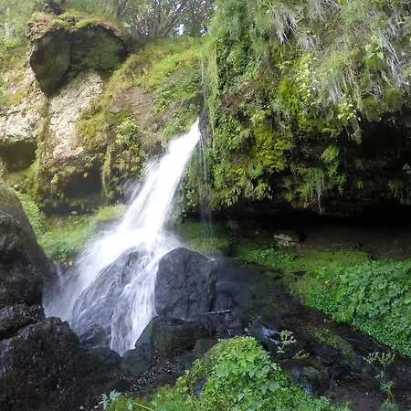 Kemping Domaine De L'ours / 3*