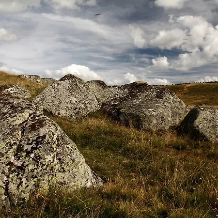 Domaine De L'ours / Kemping